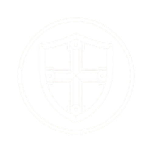 高密度細節系統